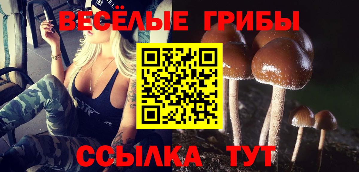 Псилоцибиновые грибы MAGIC MUSHROOMS  купить  сайты  Мценск  Псилоцибиновые грибы Psilocybe  Вход с VPN 